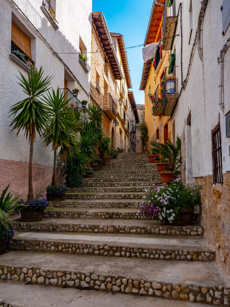 Belmonte de San José